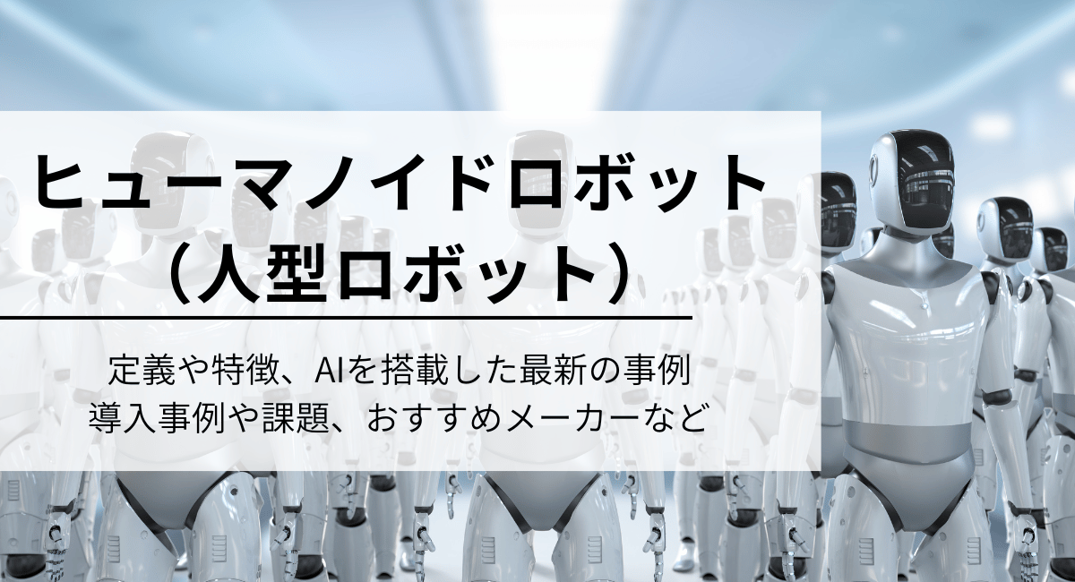 ヒューマノイドロボット