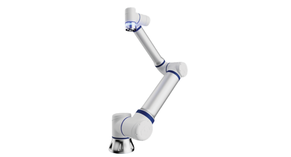 CS625